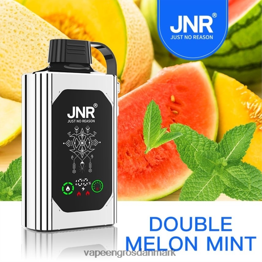 Vape Wholesale Danmark dobbelt melon mynte RLD6X621 JNR SHISHA BOX