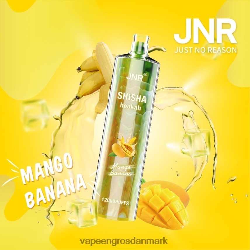 Vape Wholesale In Denmark mango banan RLD6X684 JNR SHISHA