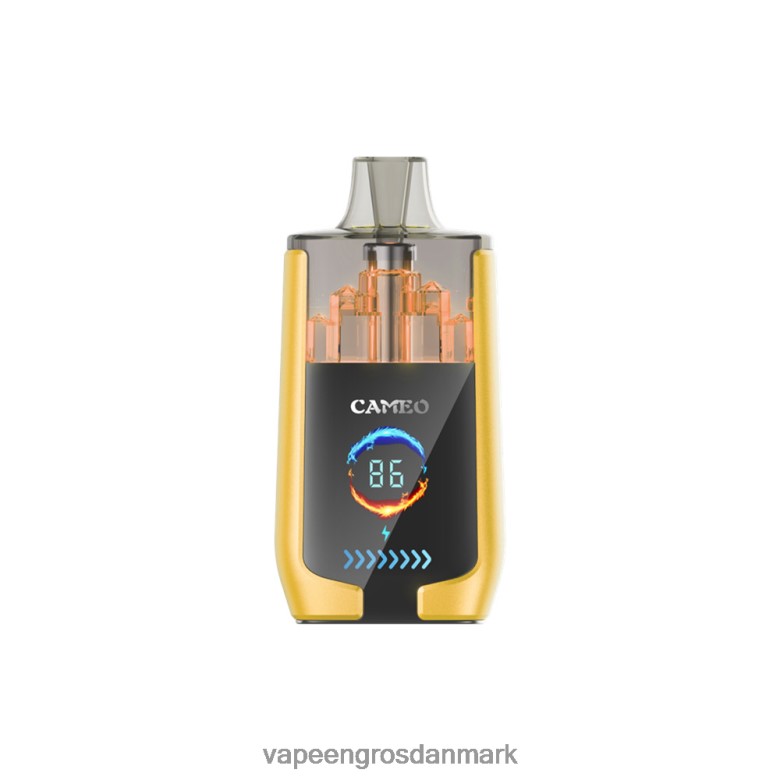 Vape Wholesale Danmark - LAVIE CAMEO 30000 pust F4ZFFD21 mango is